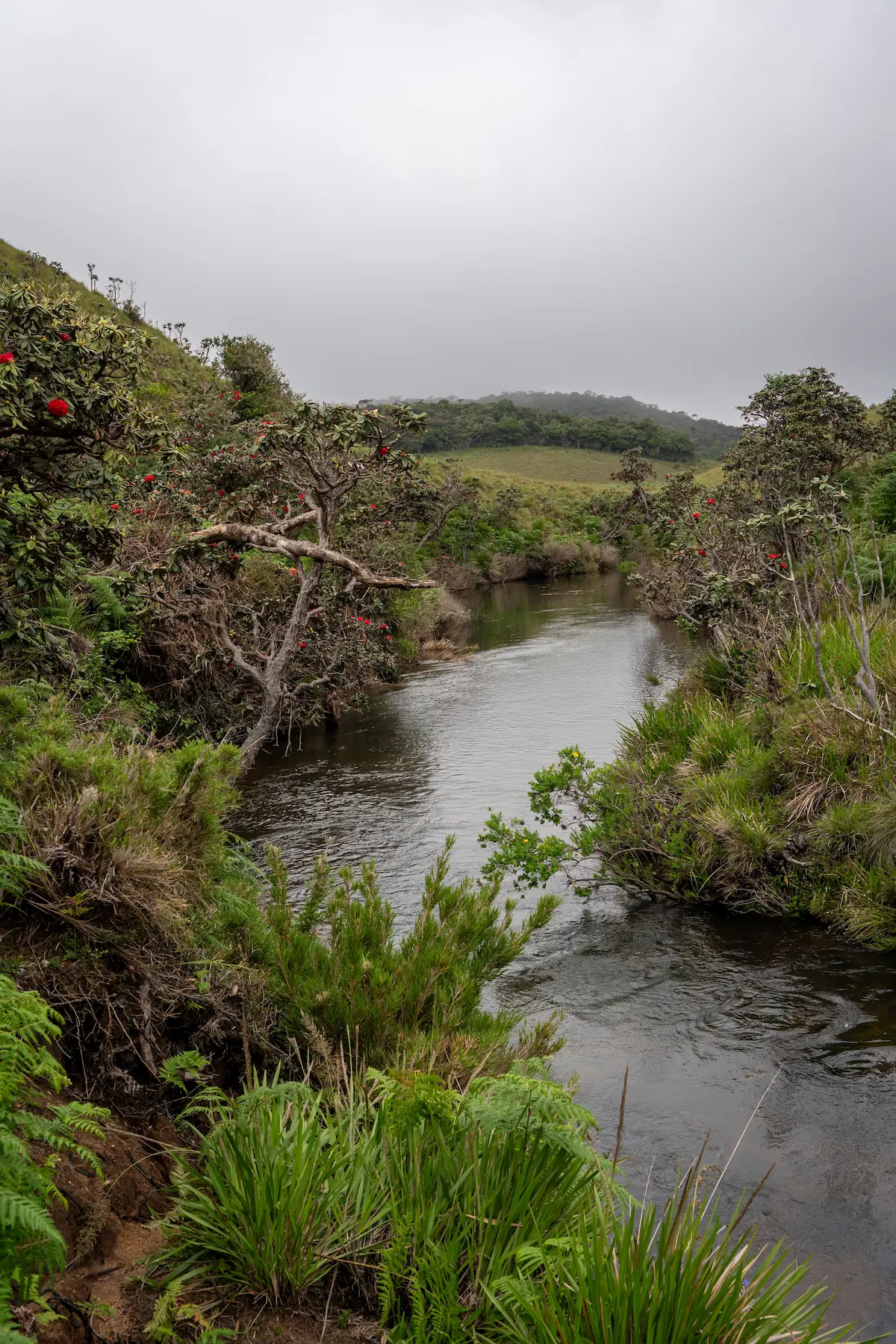 Horton Plains and mountain landscape of Sri Lanka