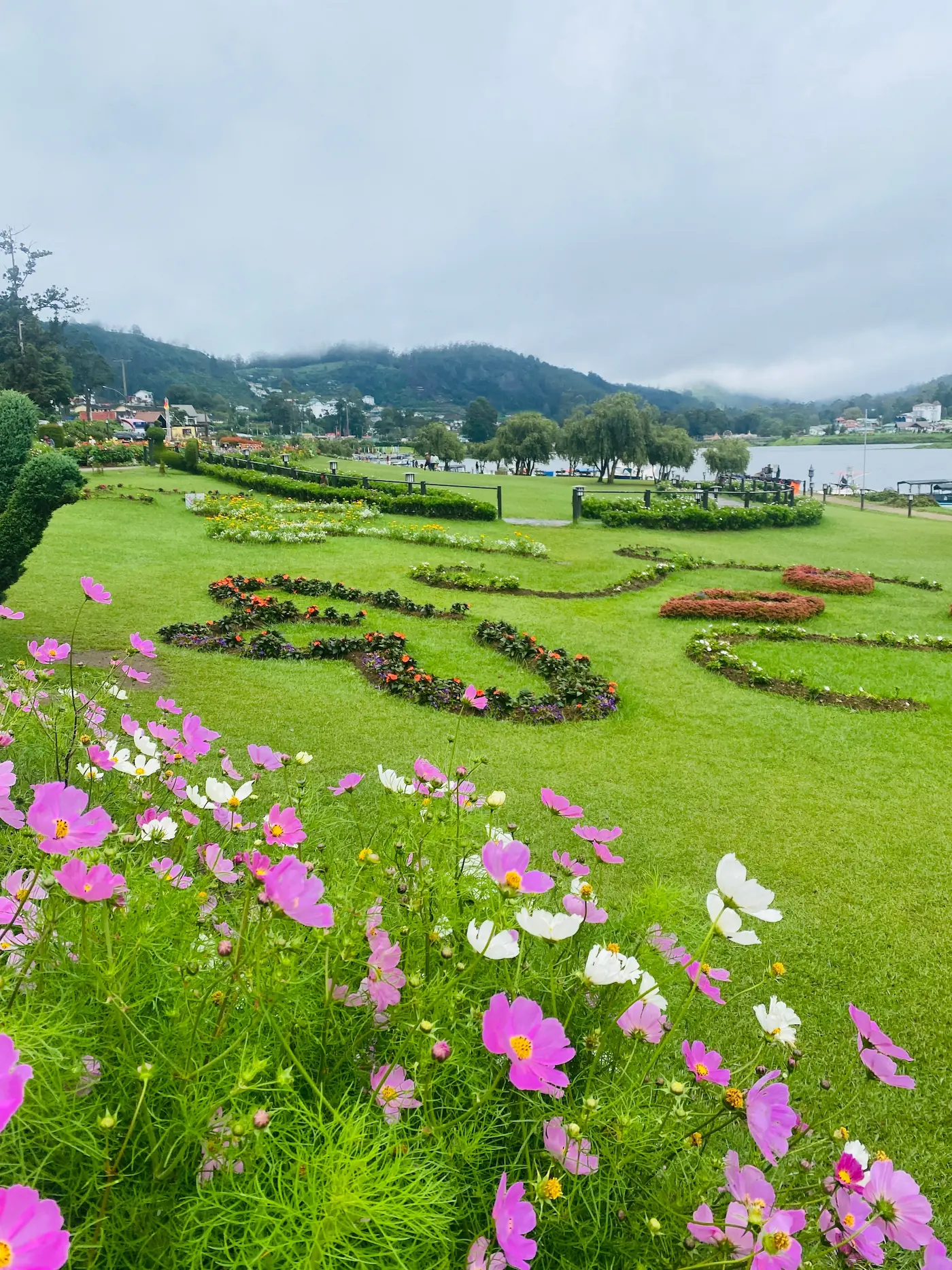 flora in Nuwara Eliya Sri Lanka