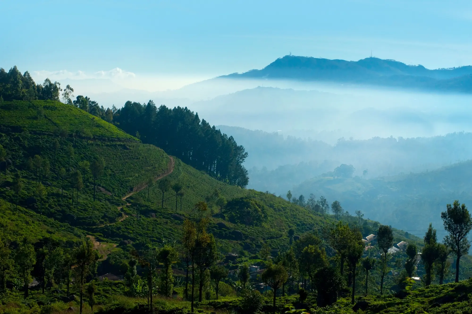 Nuwara Eliya in Sri Lanka