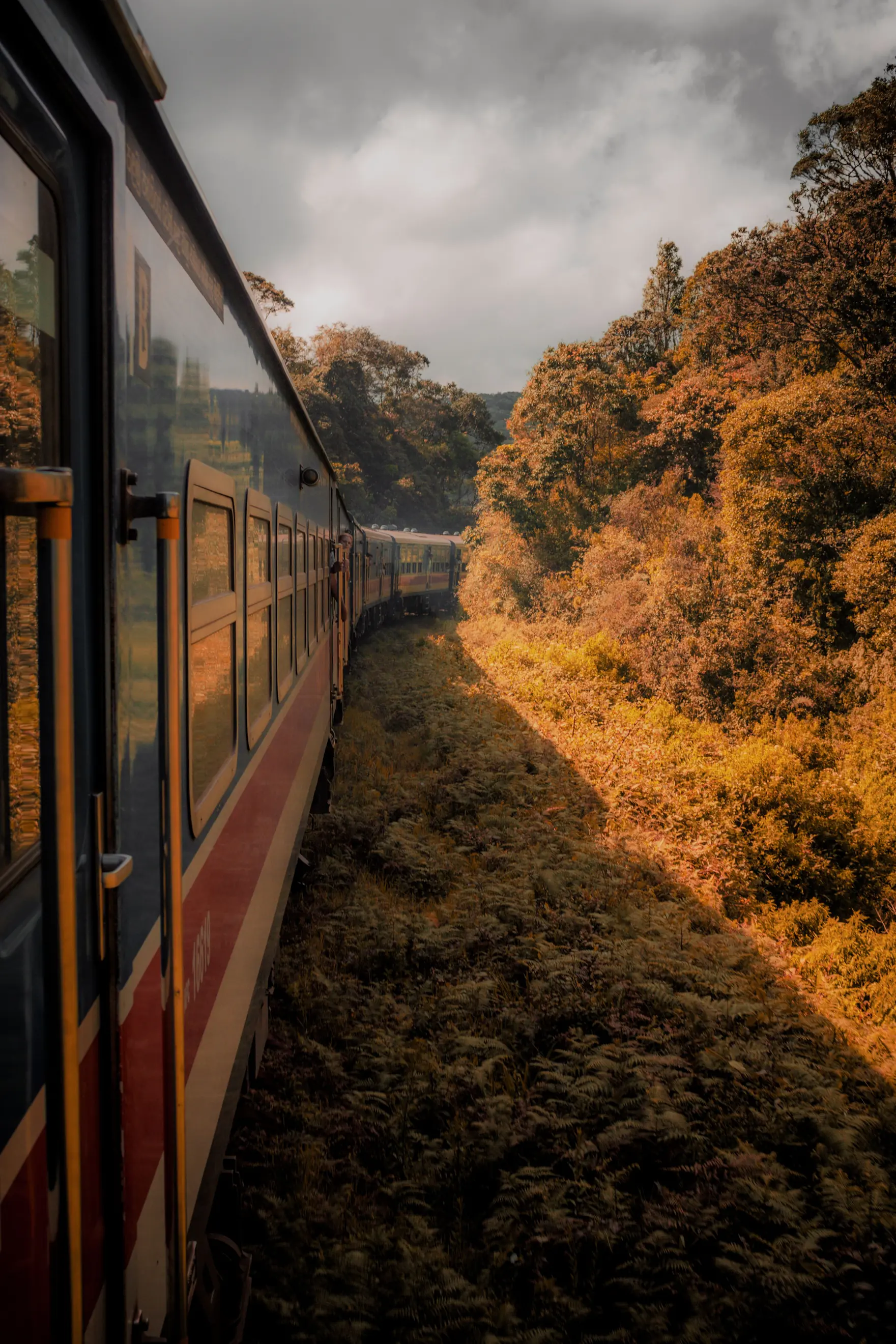 Zug in Sri Lanka