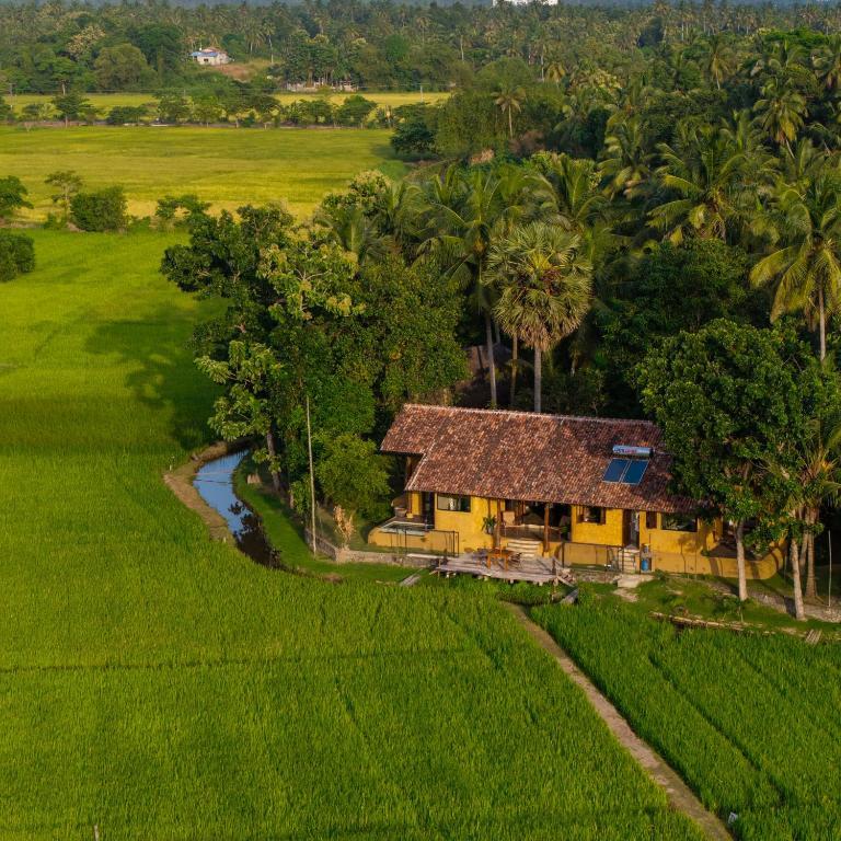 Traditionelles Dorf in Sri Lanka mit authentischen Einblicken in das ländliche Inselleben