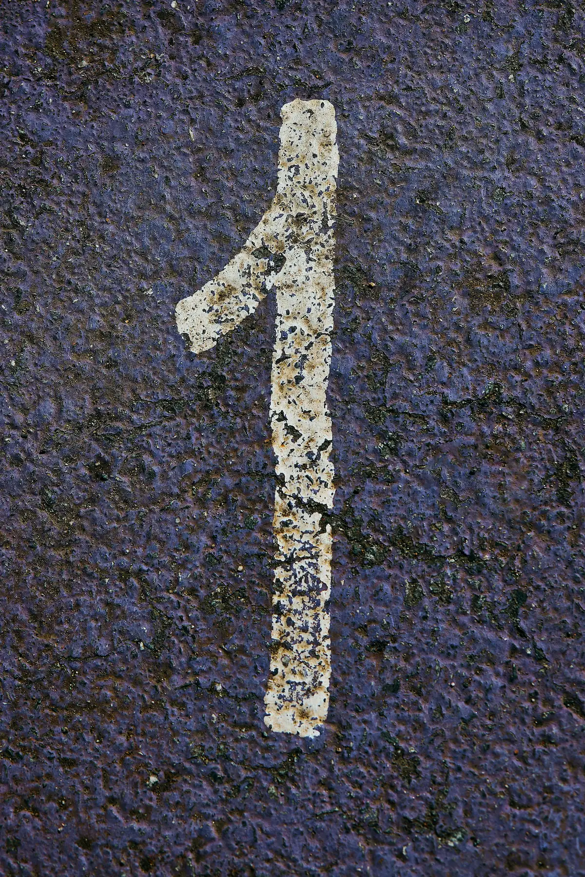 Kulinarik in Sri Lanka