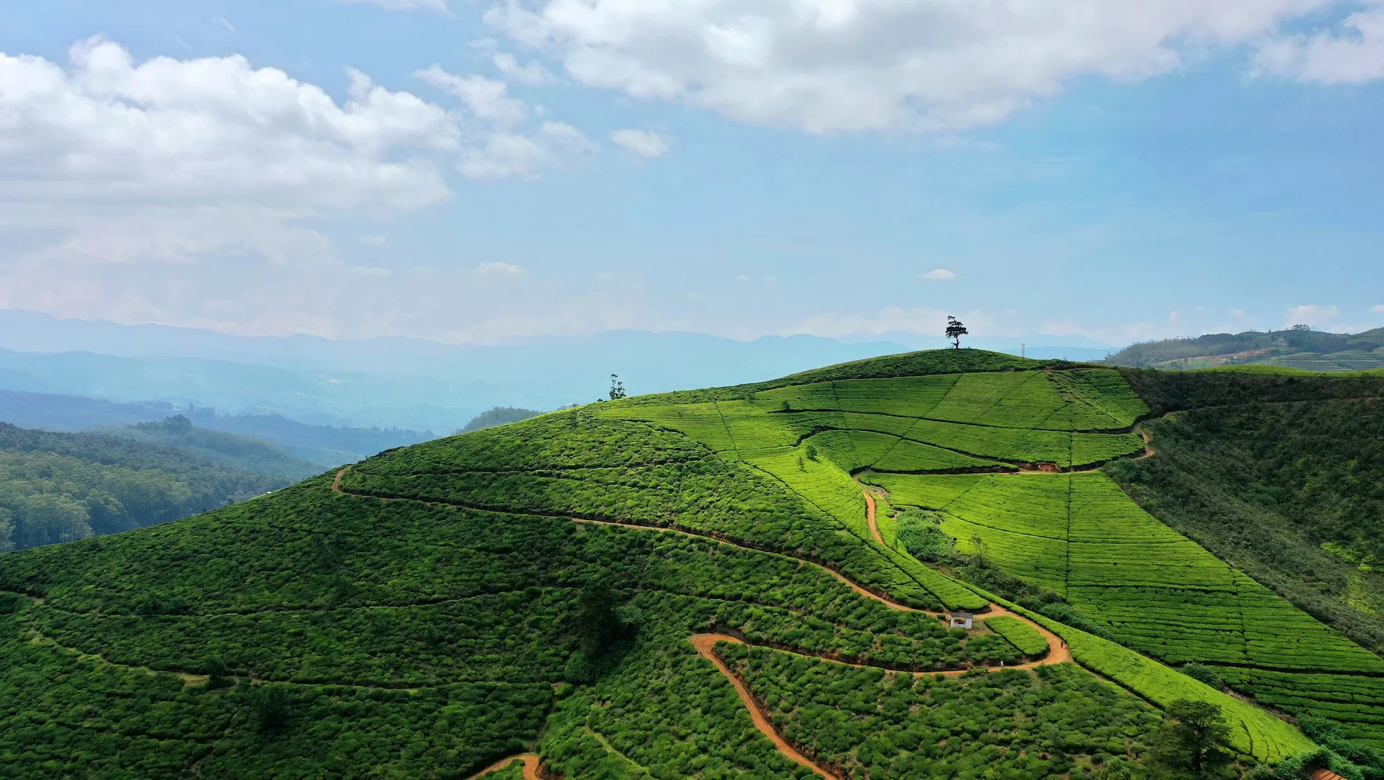 Sri Lanka Landschaft