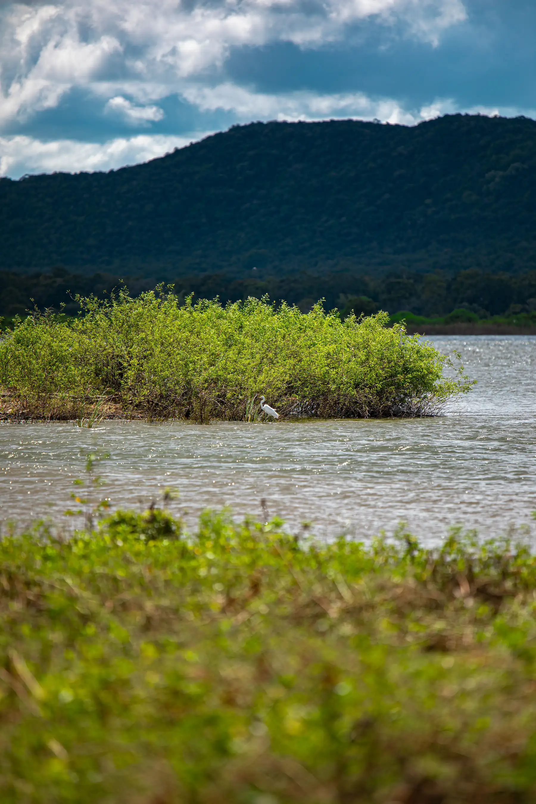 Gal-Oya-Nationalpark Sri Lanka